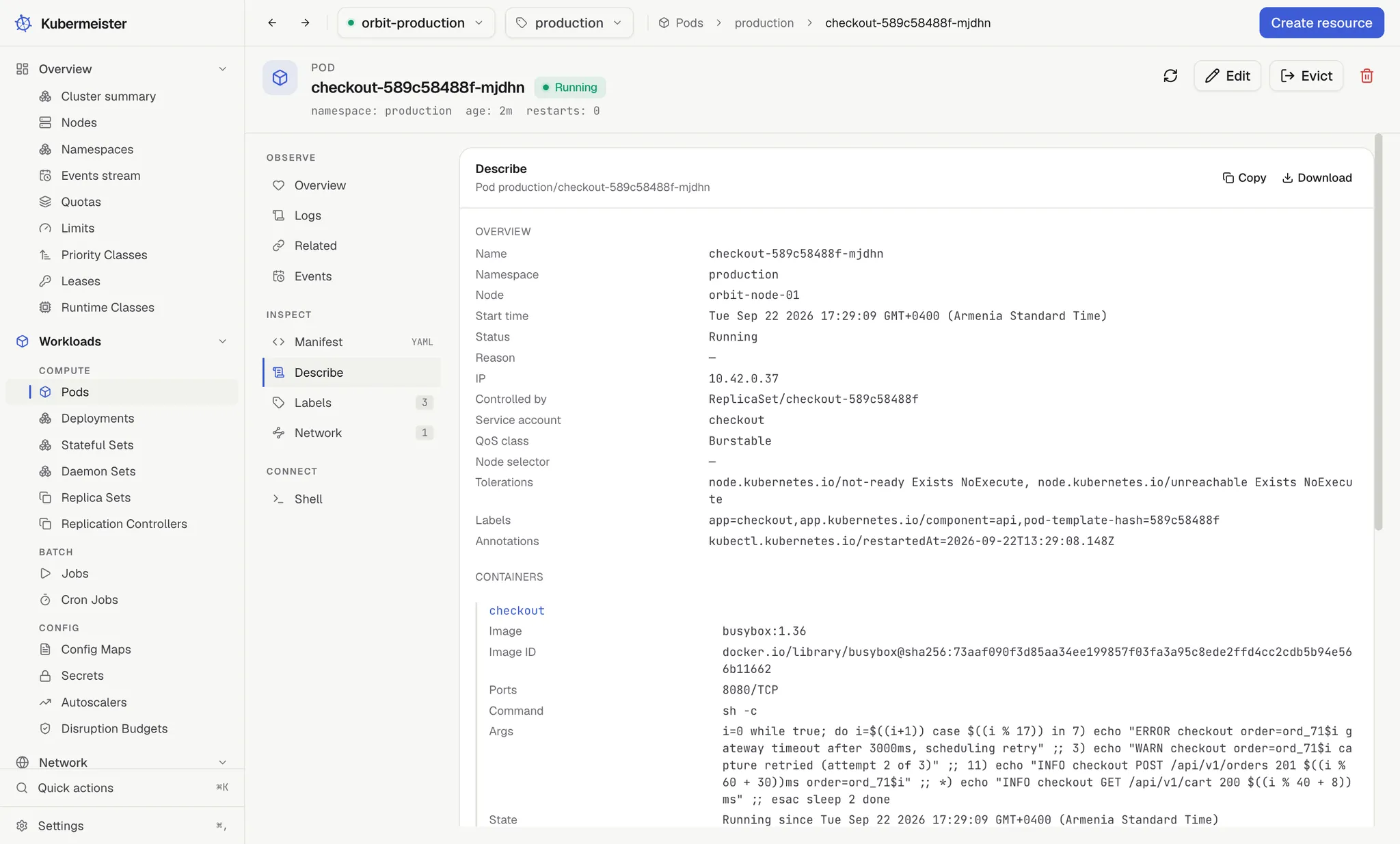 The describe tab for a pod, laid out as labelled sections rather than pre-rendered text.