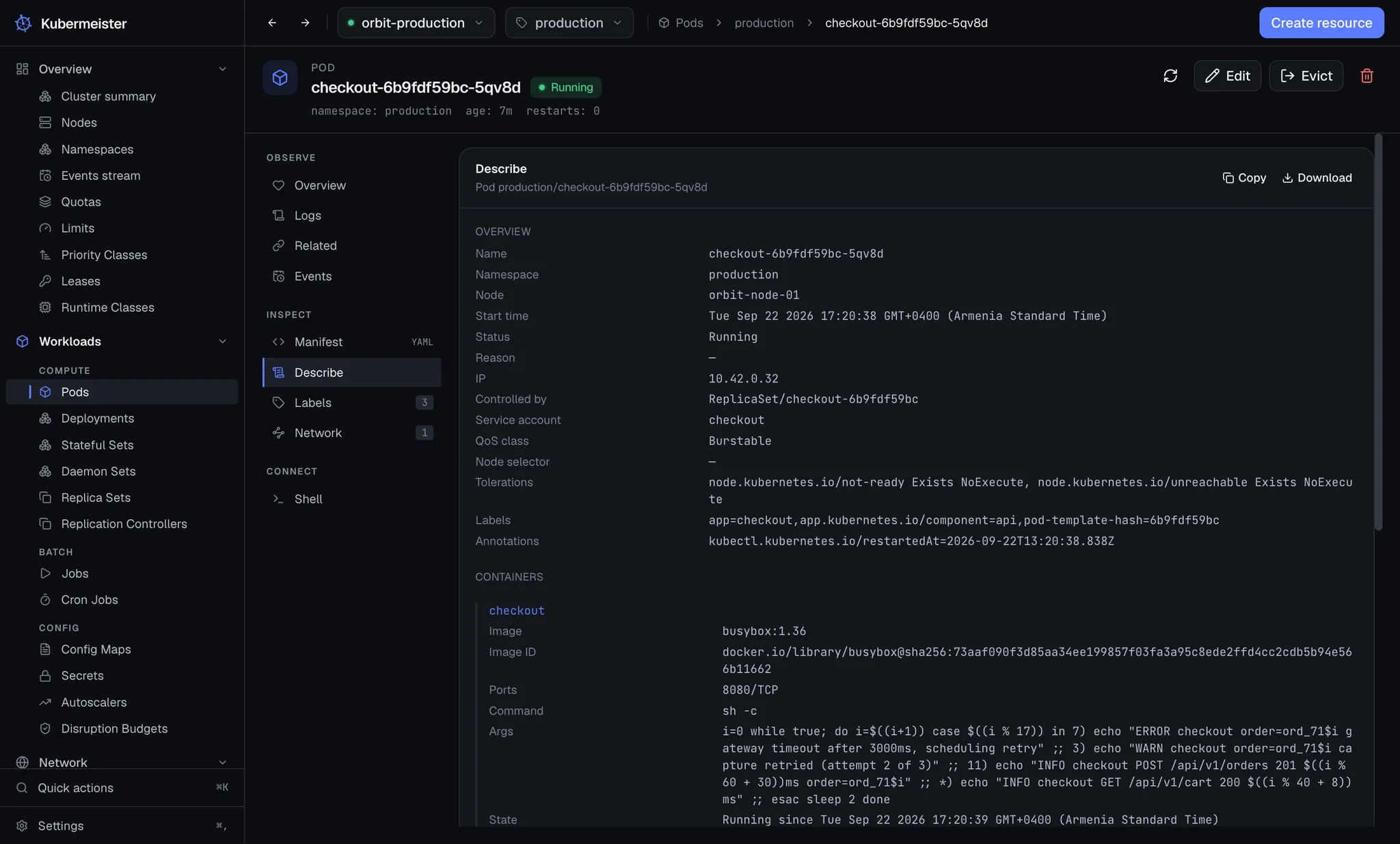 The describe tab for a pod, laid out as labelled sections rather than pre-rendered text.