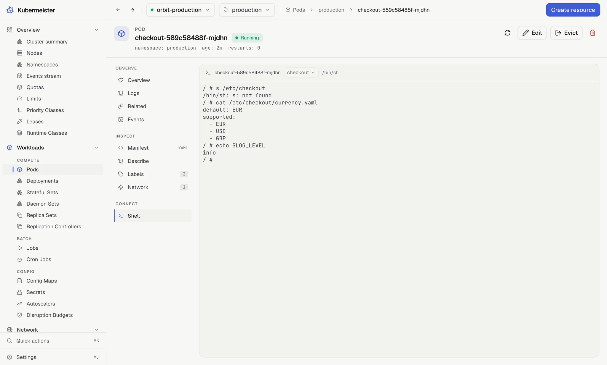 A shell session inside a pod in Kubermeister, showing the output of ps and cat /etc/hosts.