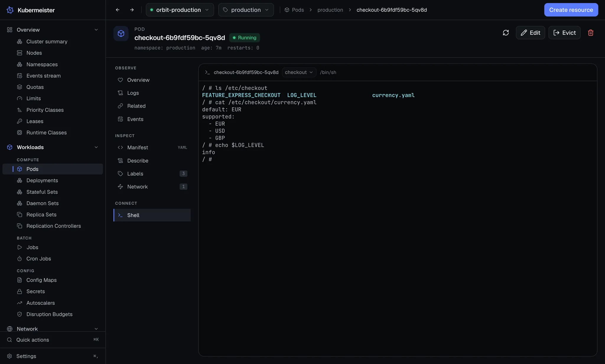A shell session inside a pod in Kubermeister, showing the output of ps and cat /etc/hosts.